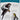 Identification Guide to Birds in the Hand, Demongin